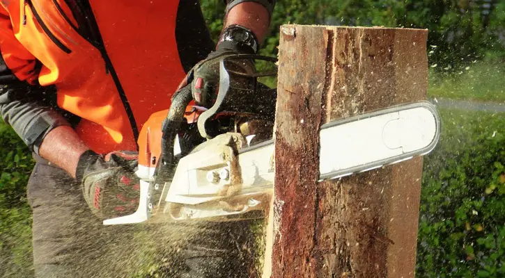 Gas chainsaw cutting wood