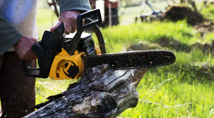 Homeowner using a chainsaw