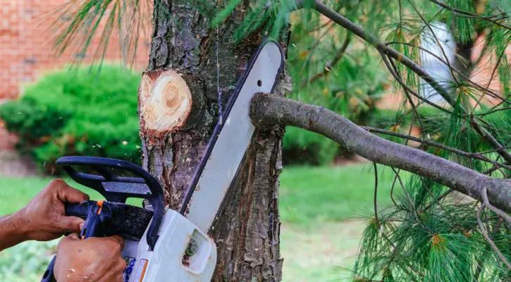 Person Using a Cordless Chainsaw