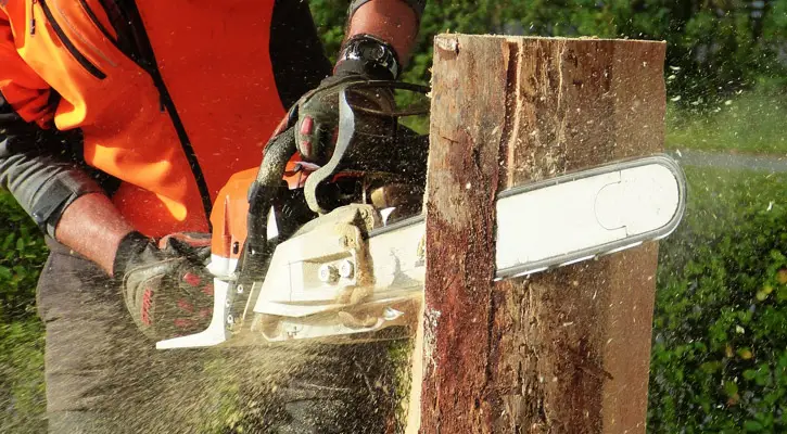 16 inch chainsaw cutting a log