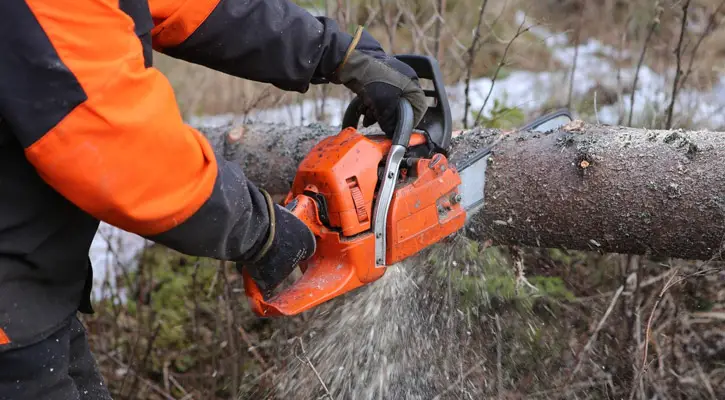 Best Small Chainsaw Cutting a Log