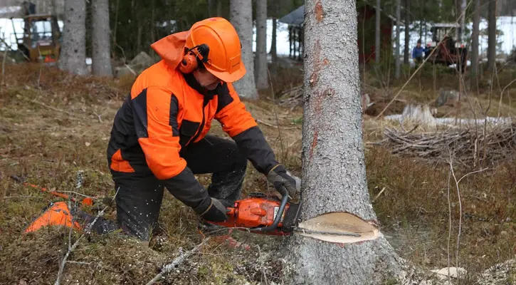 Best Chainsaw Safety Equipment