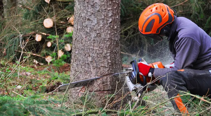 Chainsaw Safety Gear