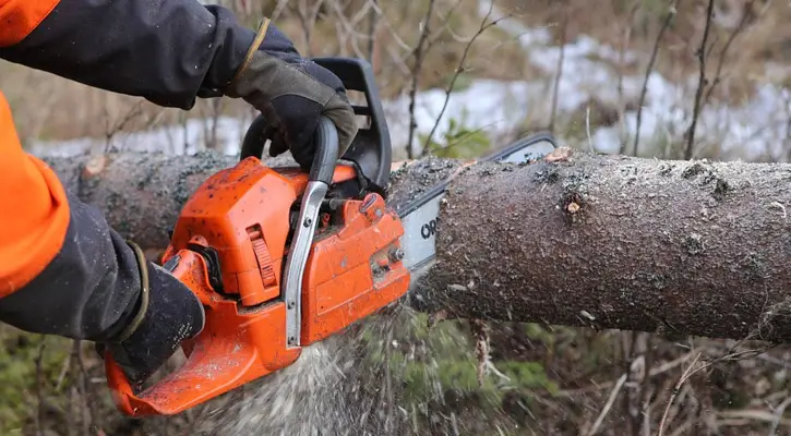 best chainsaw gloves