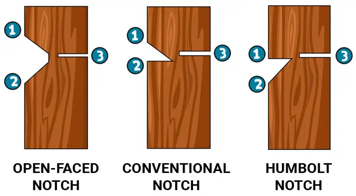 types of notches for tree felling - Greet Record Photography