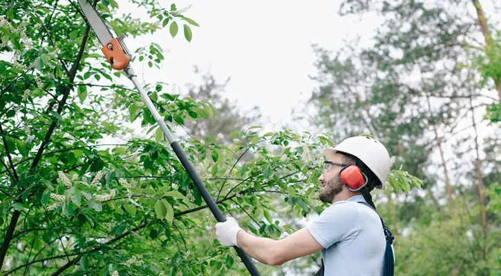 best rechargeable pole saw